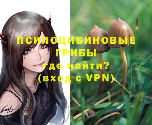 герыч Вязники