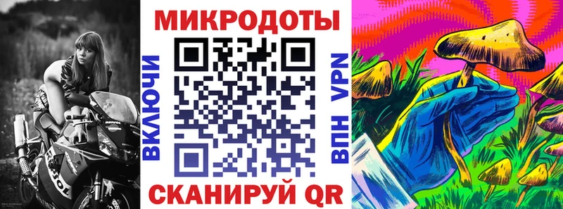 Купить  Зубцов  Псилоцибиновые грибы GOLDEN TEACHER 